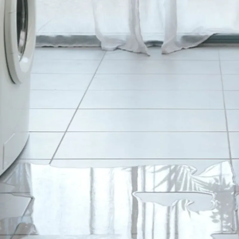Appliance Leak Cleanup in Taylorville, IL