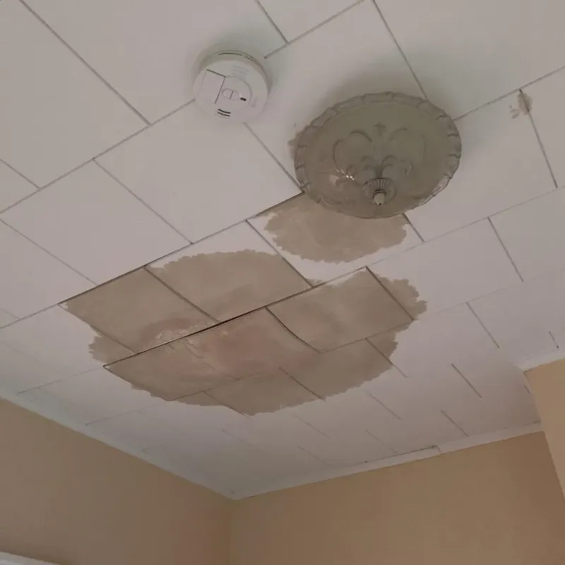 Ceiling Water Damage Repair in Taylorville, IL