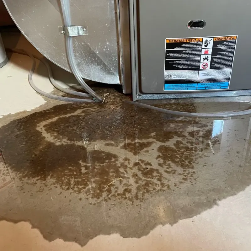 Pipe Burst and Leak Restoration in Taylorville, IL